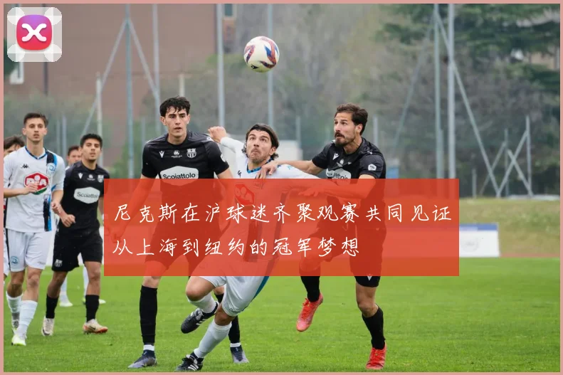 尼克斯在沪球迷齐聚观赛共同见证从上海到纽约的冠军梦想