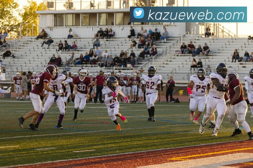 体育数据展示